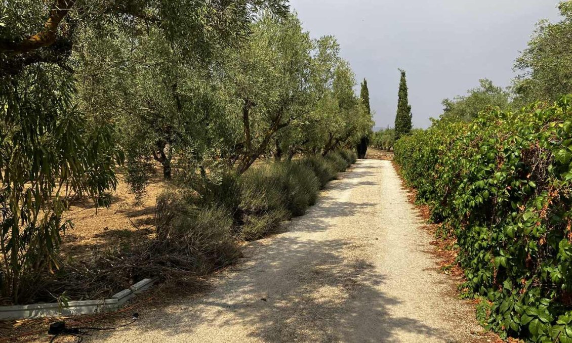 Wiederverkauf - Villa -
Biar - Costa Blanca