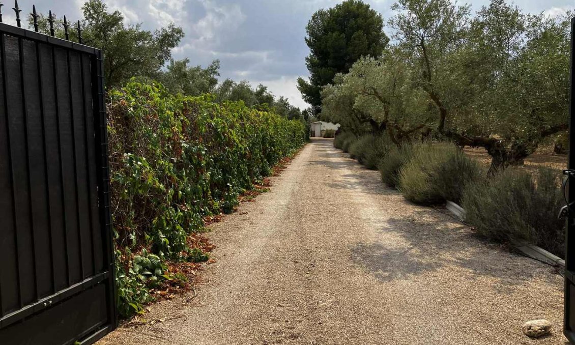 Wiederverkauf - Villa -
Biar - Costa Blanca