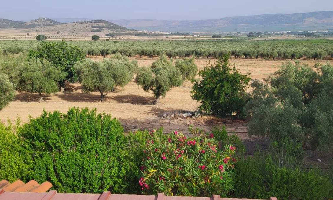 Wiederverkauf - Villa -
Biar - Costa Blanca