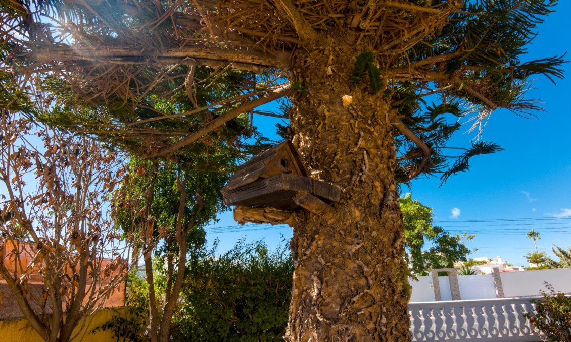 Wiederverkauf - Villa -
La Siesta - Costa Blanca