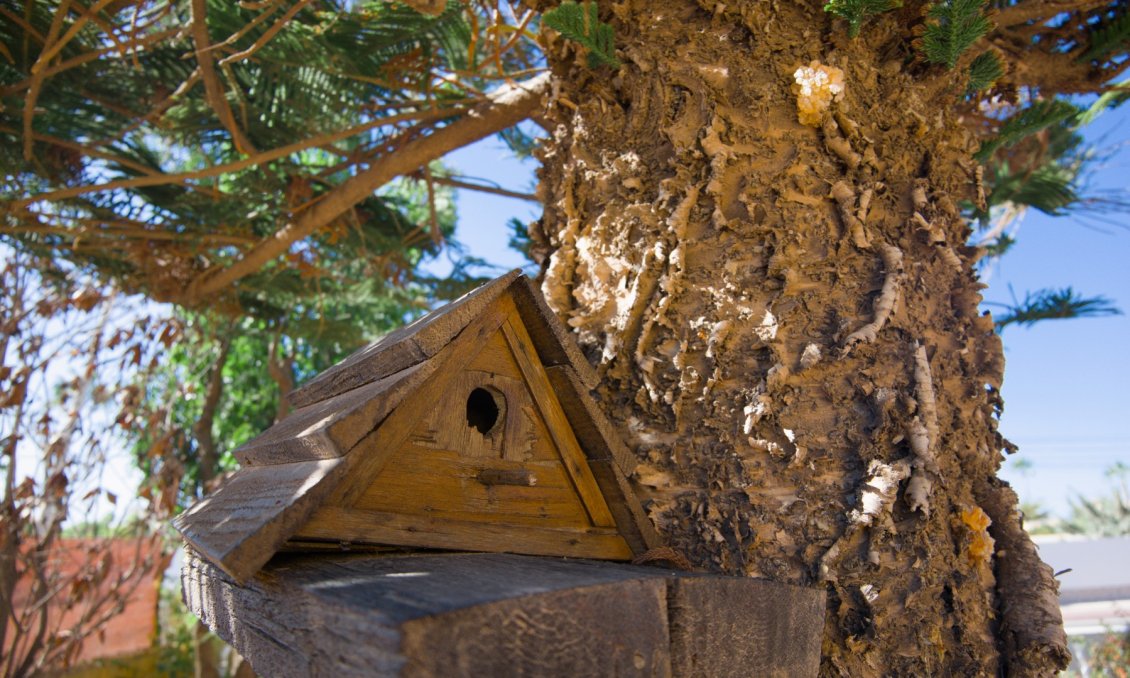 Wiederverkauf - Villa -
La Siesta - Costa Blanca