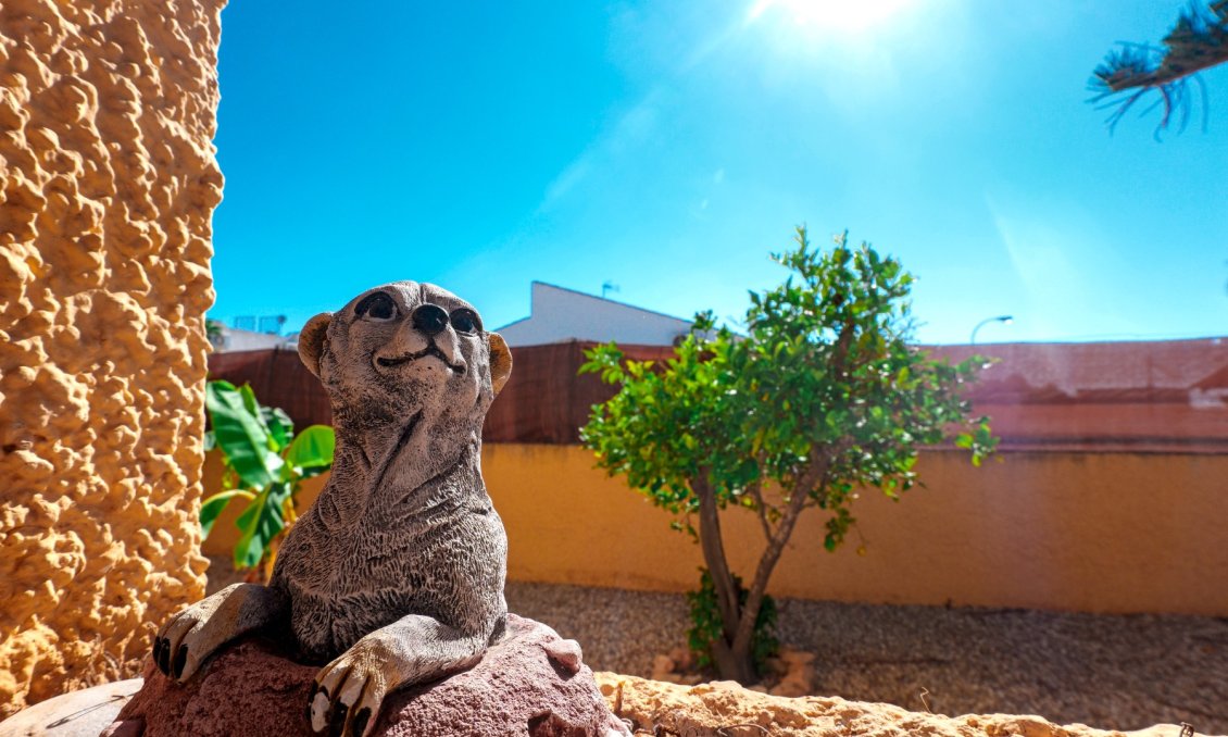 Wiederverkauf - Villa -
La Siesta - Costa Blanca