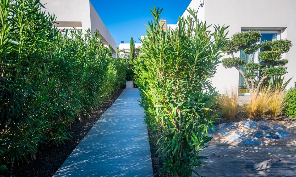 Wiederverkauf - Villa -
Algorfa - Inland