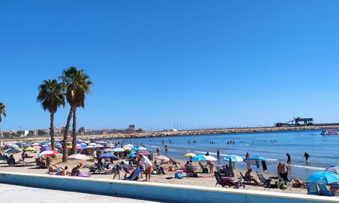 Wiederverkauf - Wohnung -
Torrevieja - LOS NAUFRAGOS PLAYA