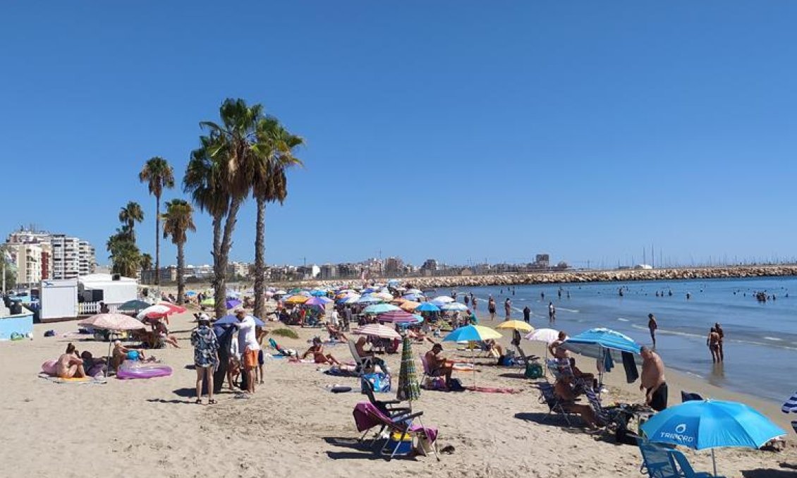 Wiederverkauf - Wohnung -
Torrevieja - LOS NAUFRAGOS PLAYA