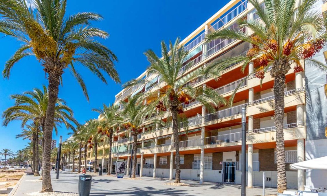 Wiederverkauf - Wohnung -
Torrevieja - Costa Blanca