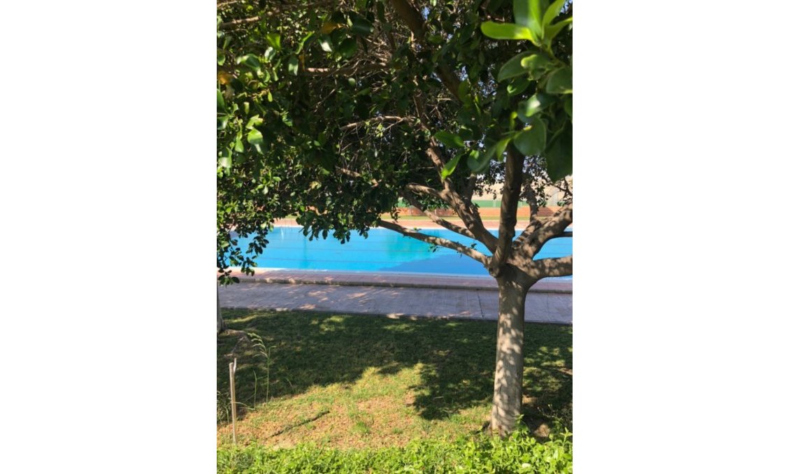 Resale - Semi Detached -
San Miguel de Salinas - Inland