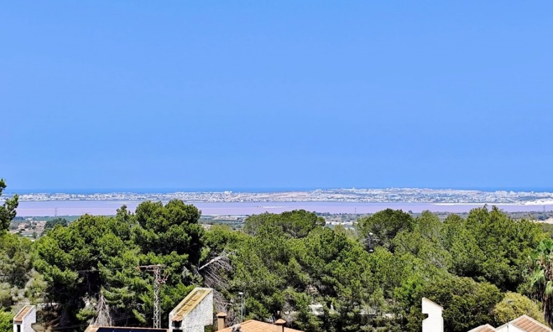 Resale - Villa -
San Miguel de Salinas - Inland