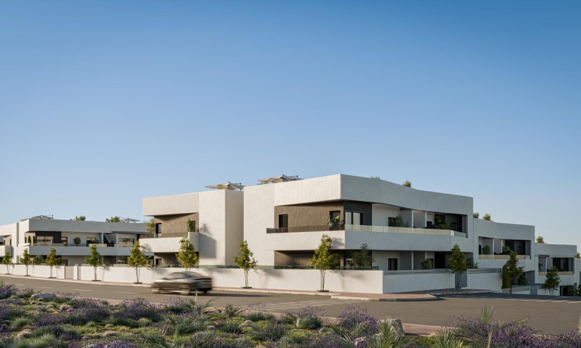 Neue Gebäude - Bungalow -
San Miguel de Salinas - Pueblo