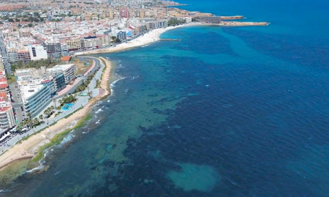 Resale - Apartment -
Torrevieja - Playa del Cura