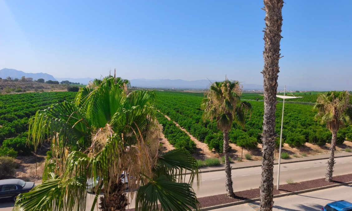 Resale - Duplex -
Algorfa - Inland