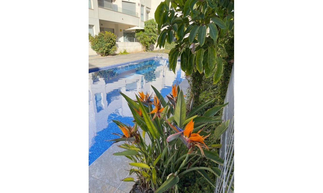 Revente - Bungalow -
Torrevieja - Costa Blanca