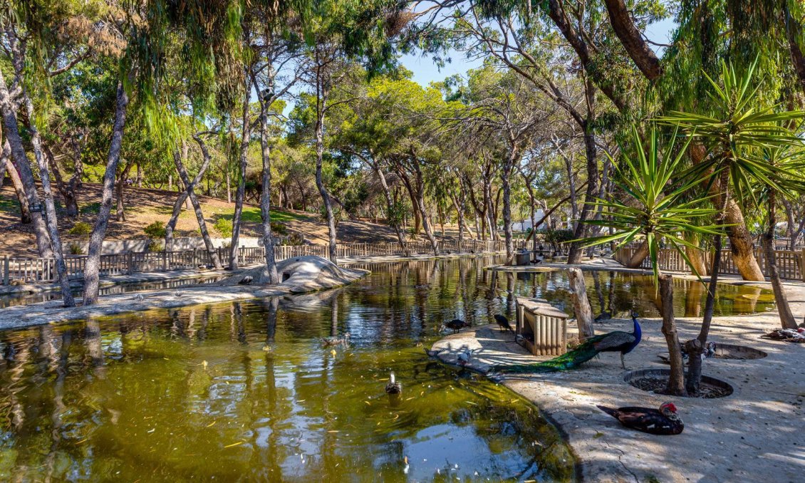 Revânzare - Apartament -
Guardamar del Segura - Costa Blanca