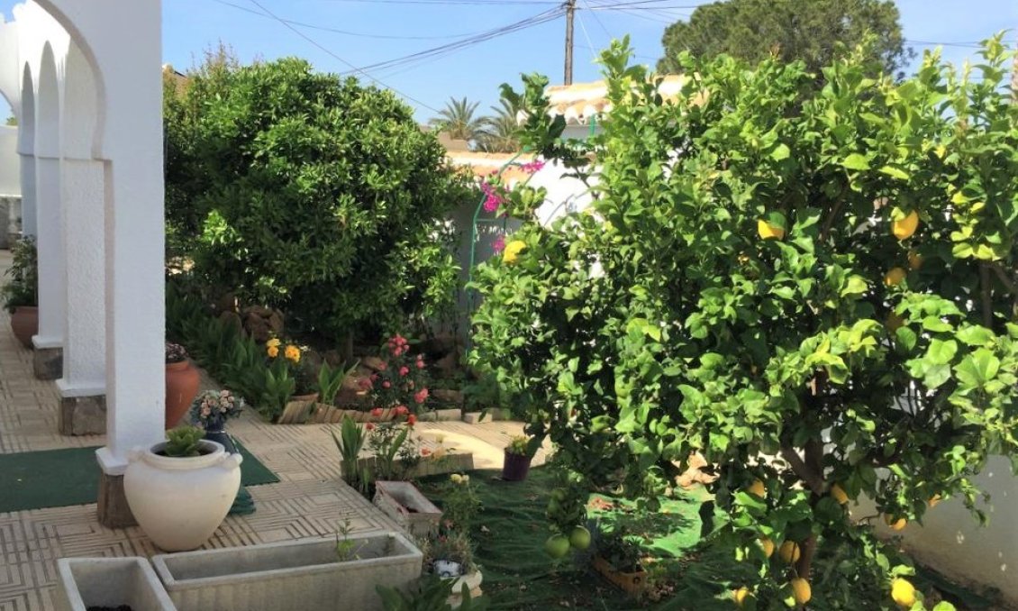 Wiederverkauf - Town House -
Torrevieja - Costa Blanca