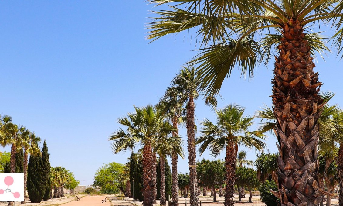 Neue Gebäude - Villa -
San Fulgencio - La Escuera