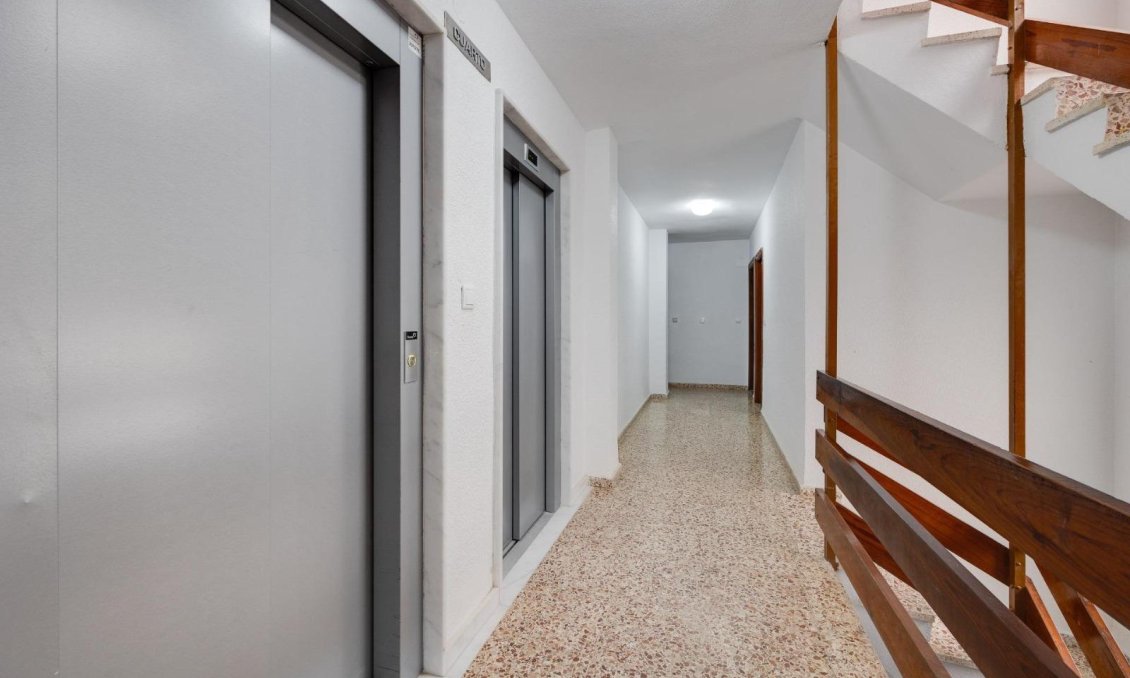 Használt Ingatlanok - Apartman -
Torrevieja - Costa Blanca