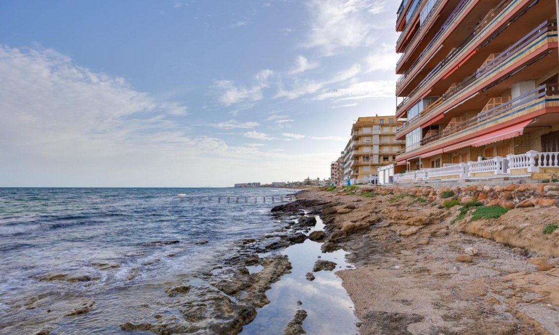 Használt Ingatlanok - Apartman -
Torrevieja - Costa Blanca