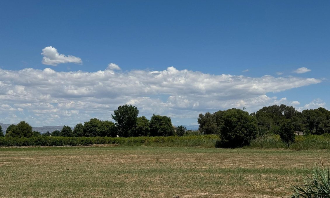 Wiederverkauf - Wohnung -
Almoradí - Inland