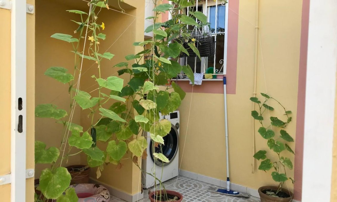 Wiederverkauf - Town House -
Orihuela Costa - Villamartín-las Filipinas