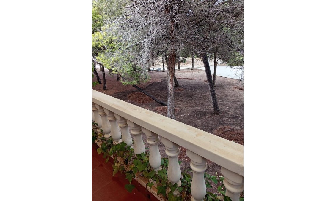 Wiederverkauf - Town House -
Torrevieja - Costa Blanca