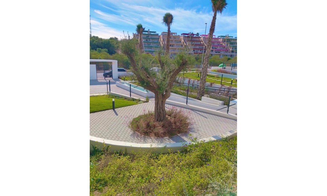 Resale - Apartment -
Orihuela - Inland