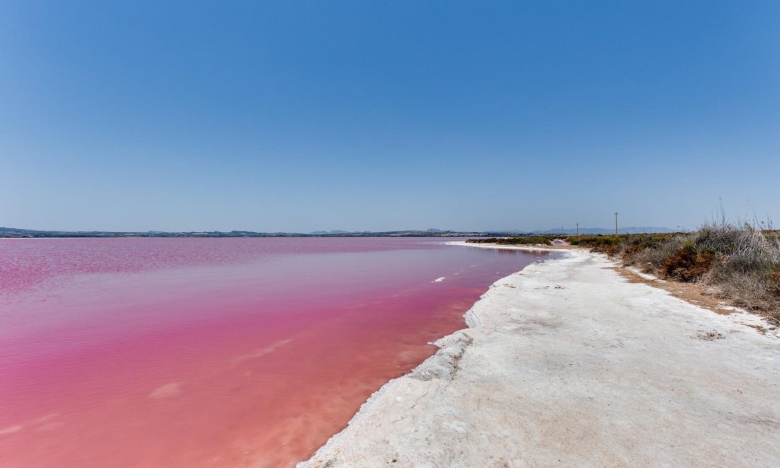 Wiederverkauf - Wohnung -
Torrevieja - Acequion
