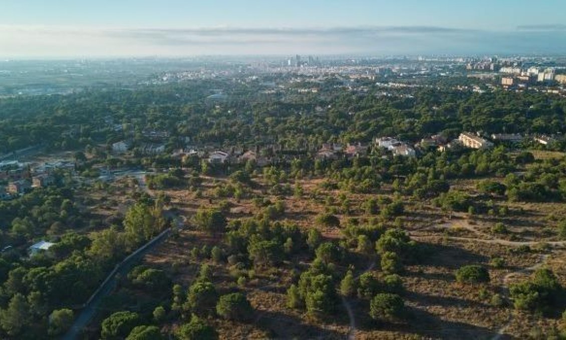 New Build - Ground floor apartment -
Godella - Campolivar