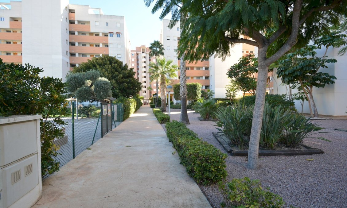 Revânzare - Apartament -
Guardamar del Segura - Costa Blanca