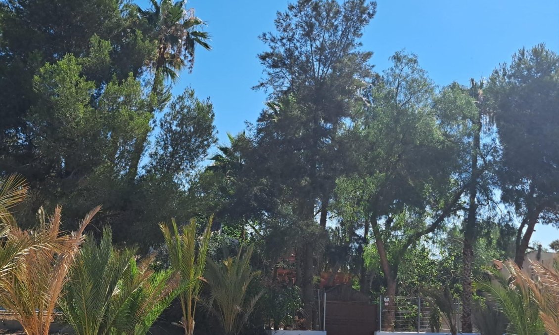 Resale - Villa -
Orihuela - Desamparados-hurchillo-torremendo