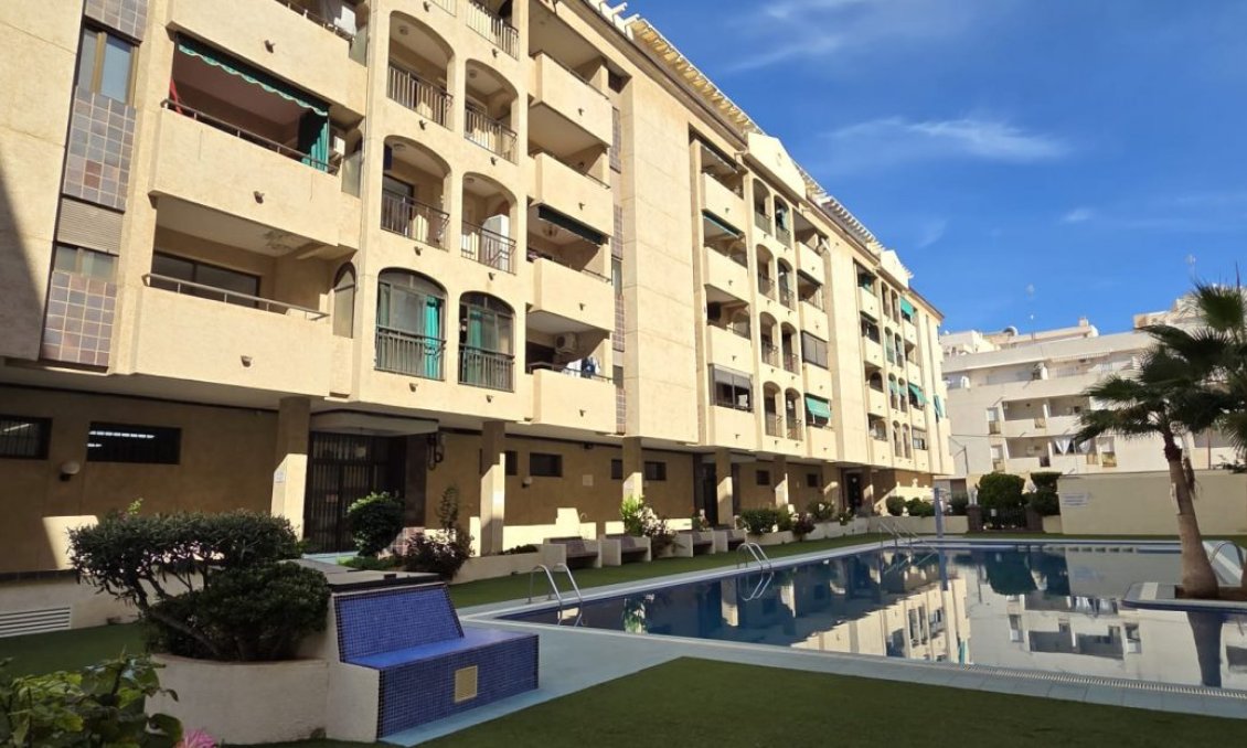 Resale - Apartment -
Torrevieja - Costa Blanca