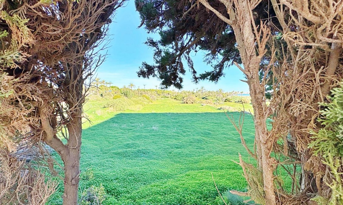 Revente - Appartement -
Torrevieja - Costa Blanca