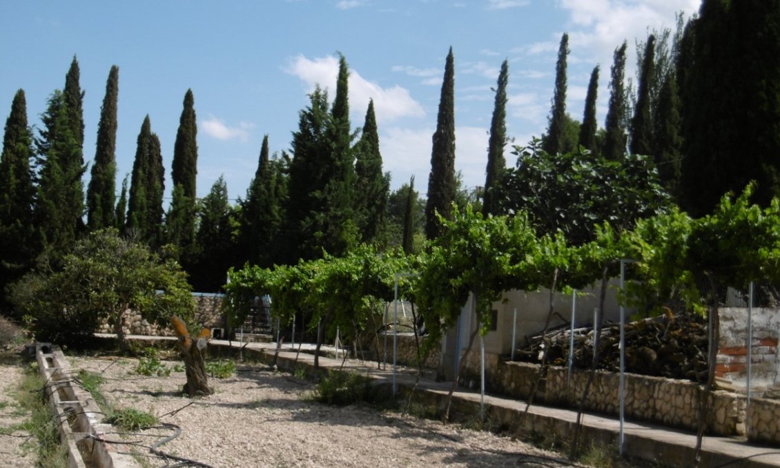 Revente - Villa -
Yecla - Inland