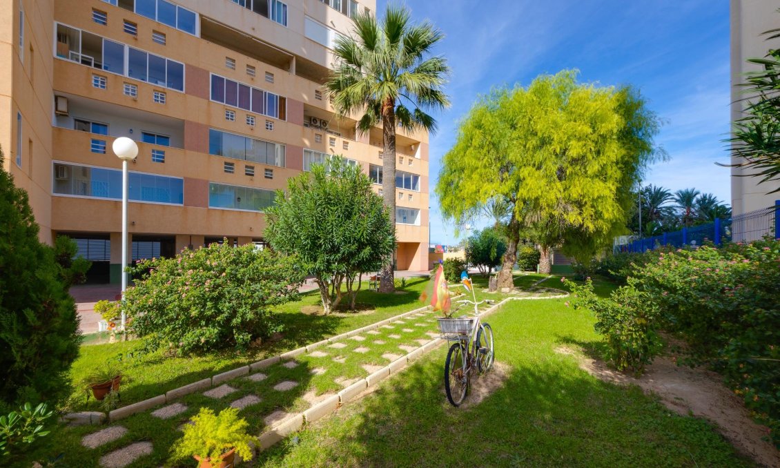 Resale - Apartment -
Torrevieja - La Veleta