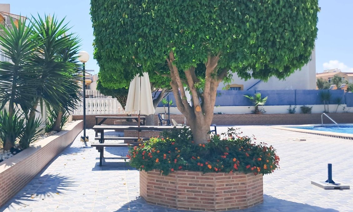 Resale - Apartment -
Torrevieja - Parque Acuático - Sector 25