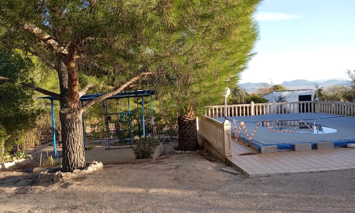 Revente - Villa -
Yecla - Inland