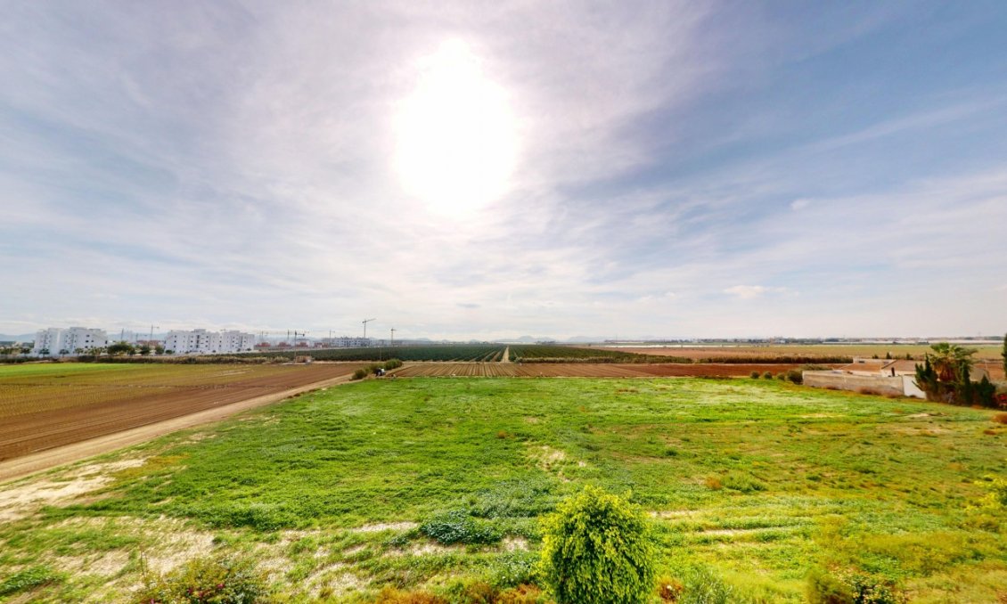 Használt Ingatlanok - Sorház -
Santa Rosalia - Inland