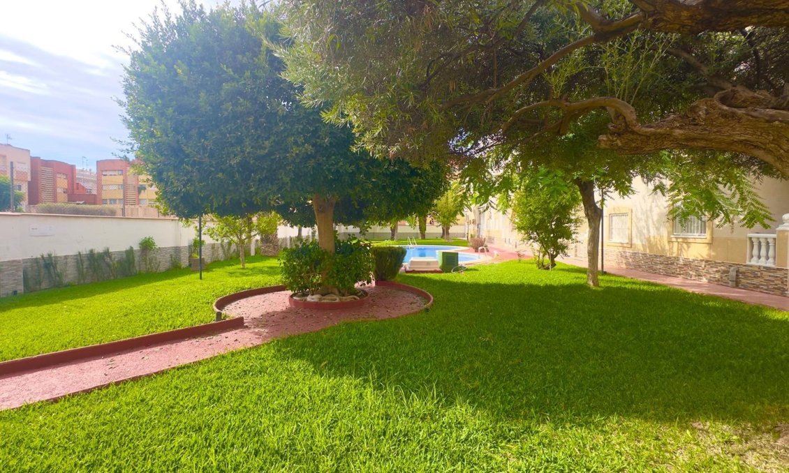 Segunda mano - Ático -
Torrevieja - Estacion De Autobuses