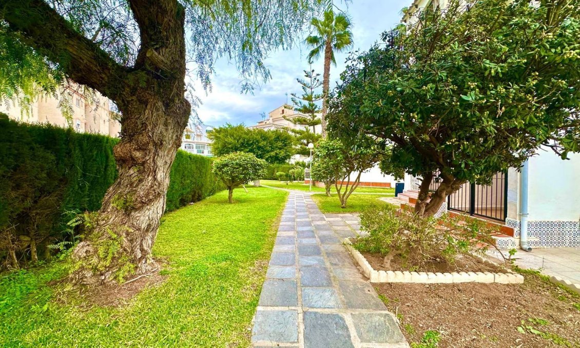 Revente - Appartement -
Torrevieja - Estacion De Autobuses