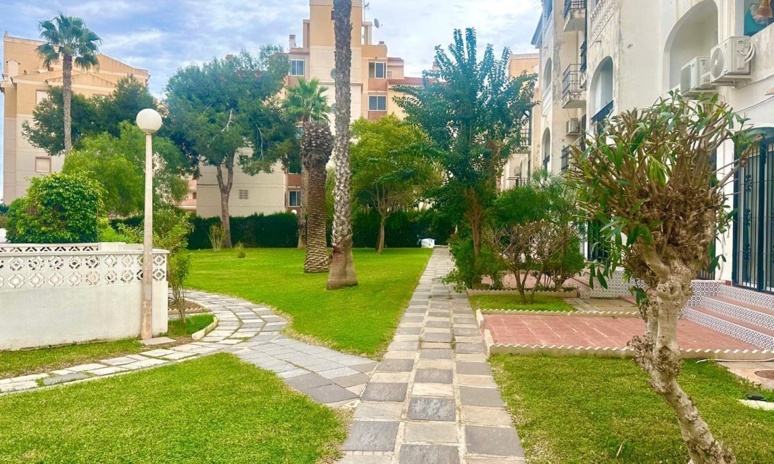 Revente - Appartement -
Torrevieja - Estacion De Autobuses