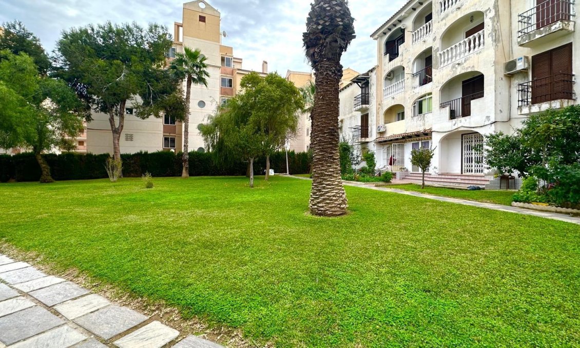 Revente - Appartement -
Torrevieja - Estacion De Autobuses