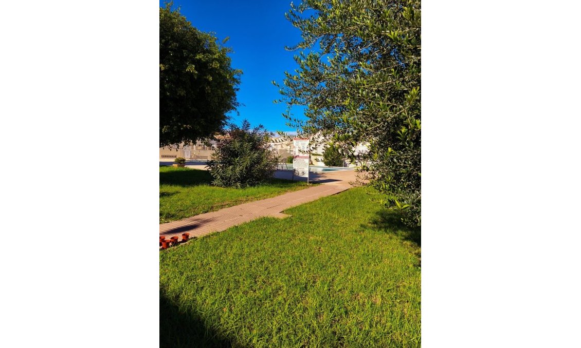 Segunda mano - Town House -
Torrevieja