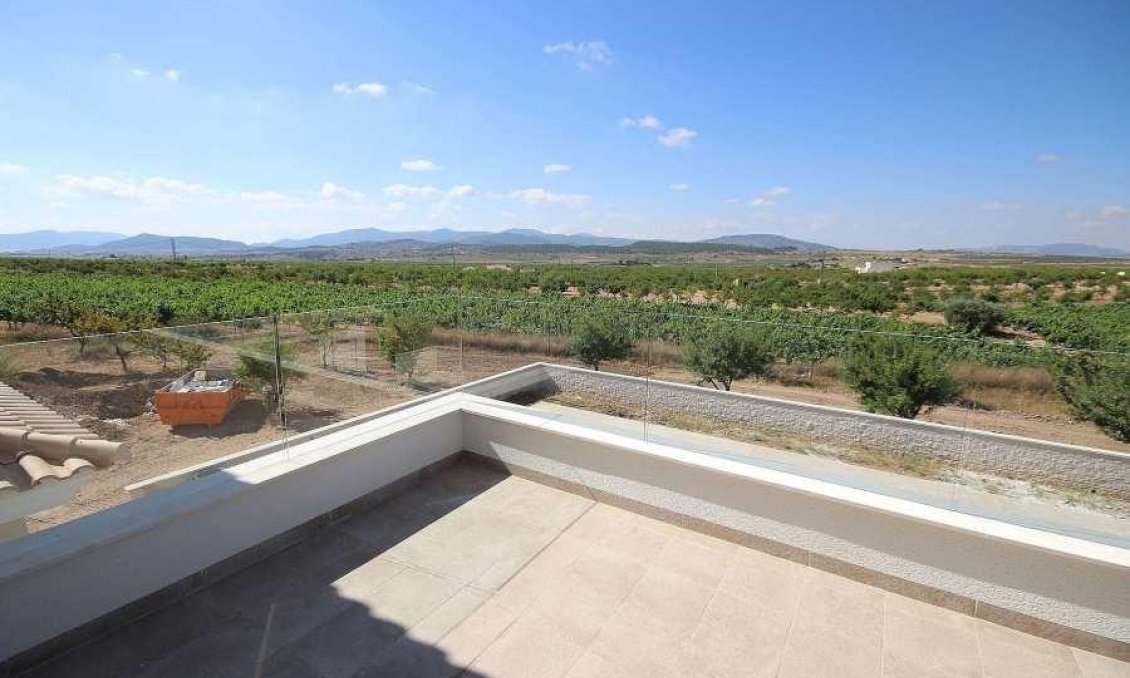 Obra nueva - Villa -
Pinoso - Camino Del Prado