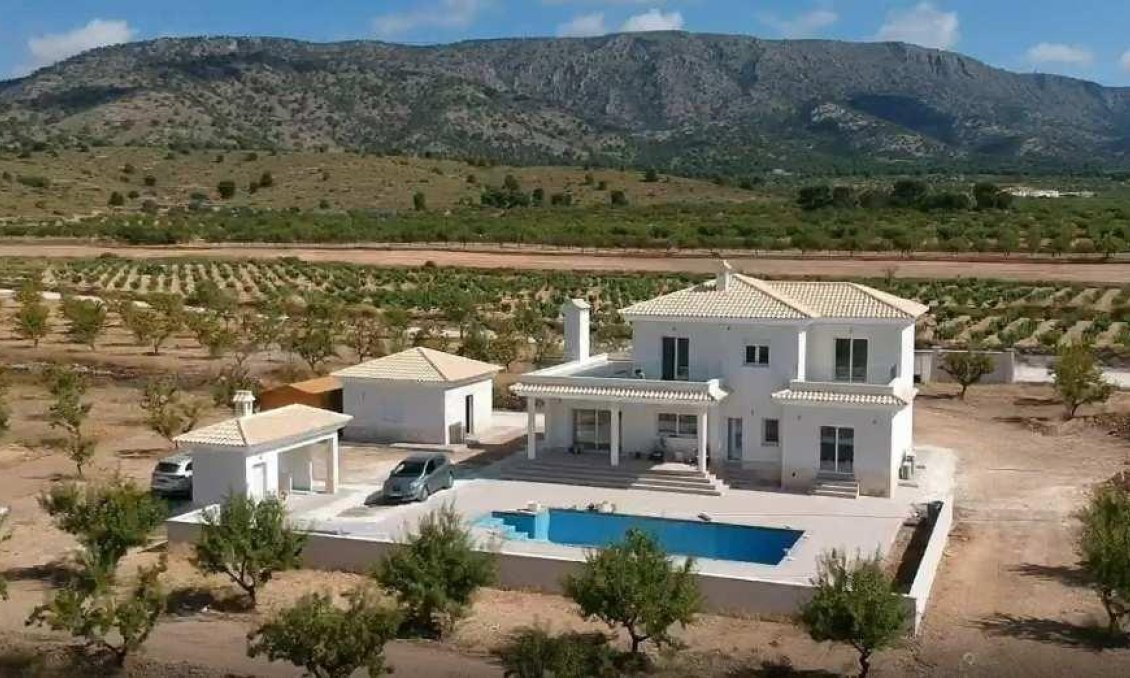 Obra nueva - Villa -
Pinoso - Camino Del Prado