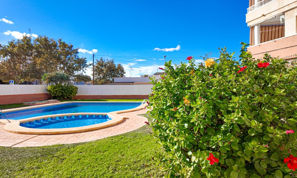 Segunda mano - Apartamento -
Torrevieja - Costa Blanca