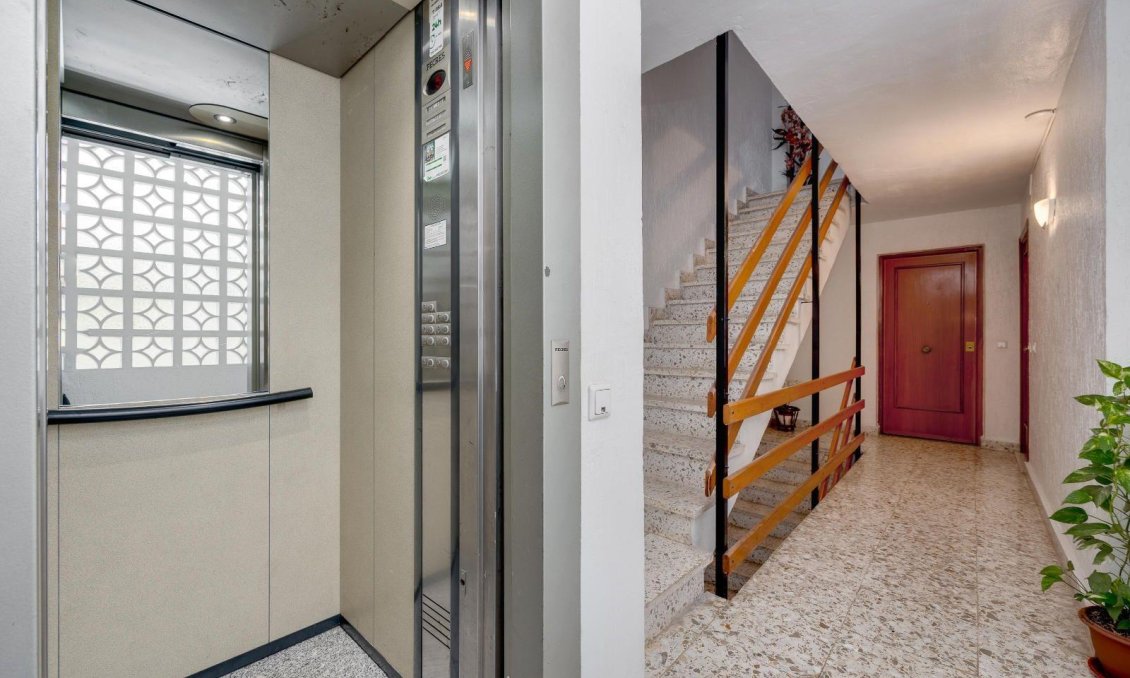 Használt Ingatlanok - Apartman -
Torrevieja - Centrum