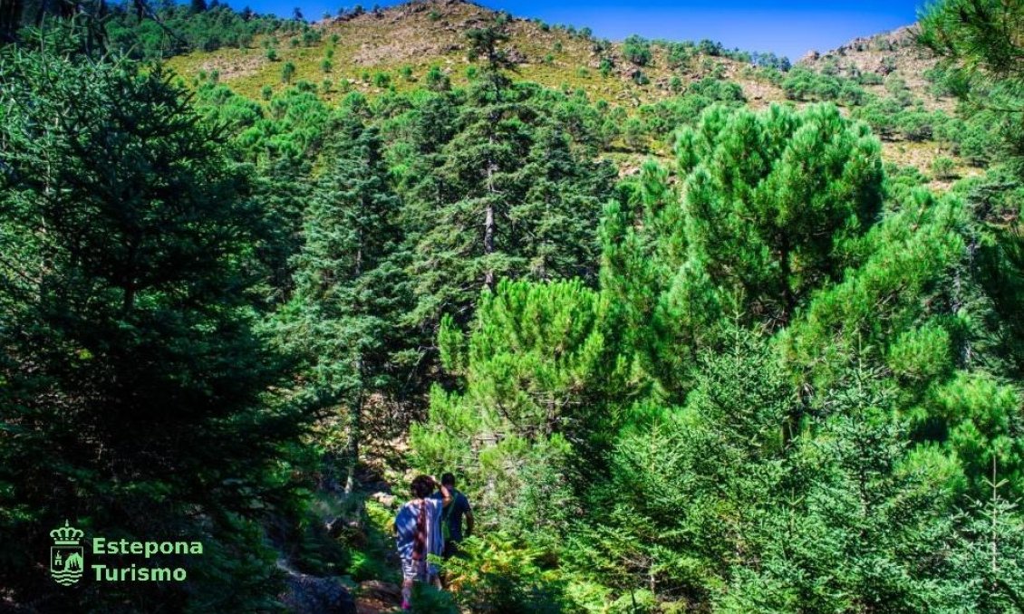 Obra nueva - Apartamento -
Estepona - Playa de La Rada