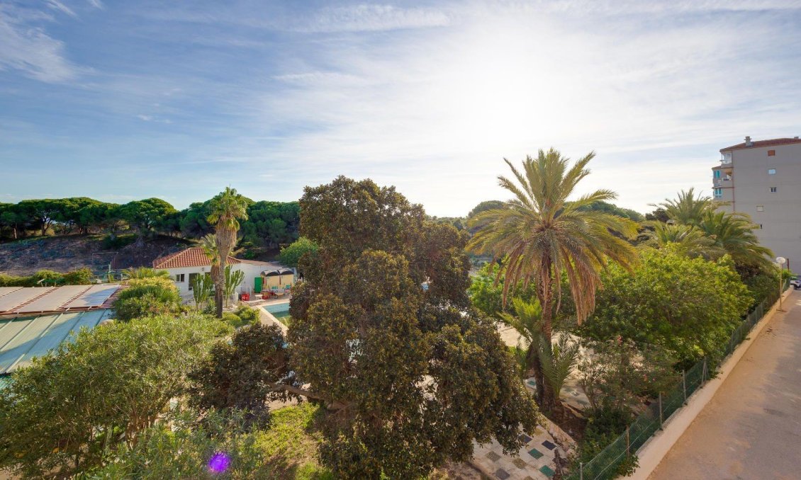 Segunda mano - Apartamento -
Guardamar del Segura - Pinomar