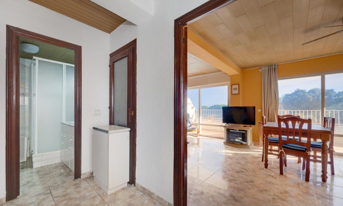 Segunda mano - Apartamento -
Guardamar del Segura - Pinomar