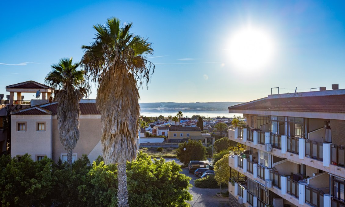 Segunda mano - Apartamento -
Torrevieja - Costa Blanca