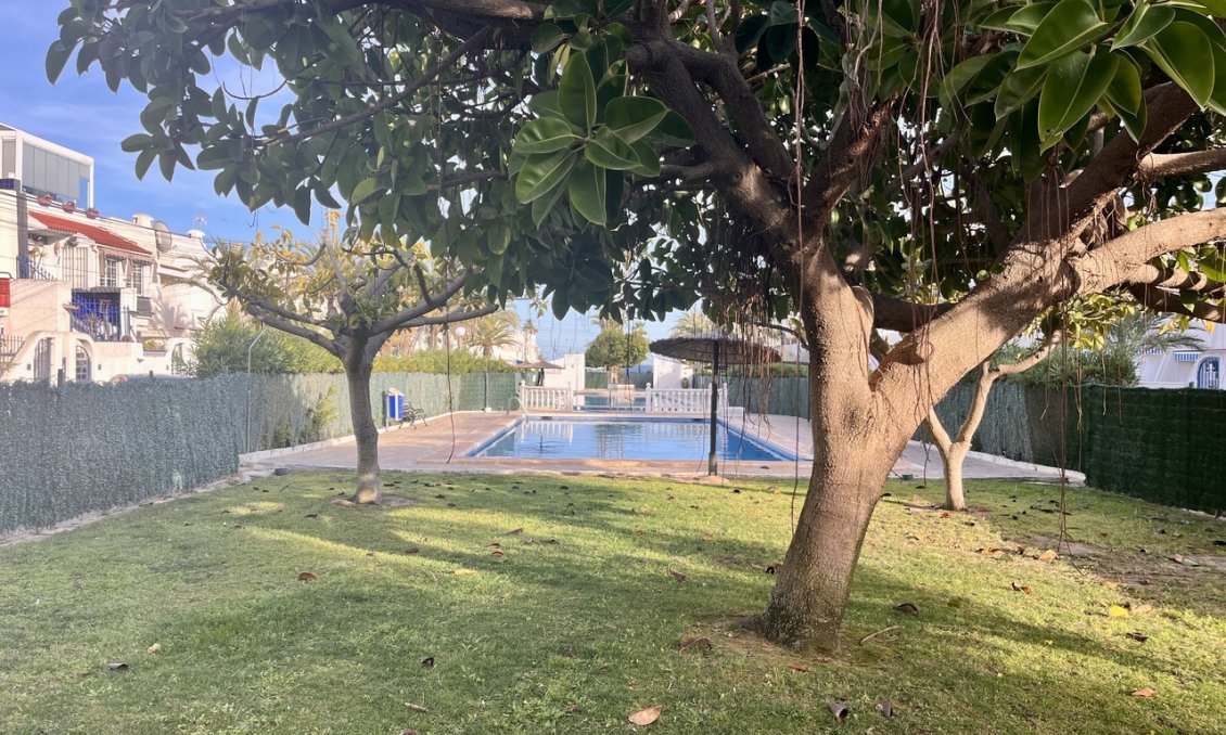 Segunda mano - Apartamento -
Torrevieja - Costa Blanca